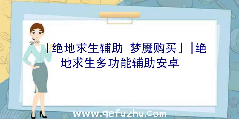 「绝地求生辅助